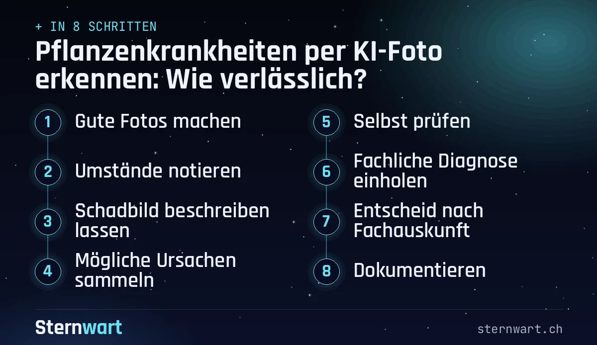 Ablaufgrafik in 8 Schritten: 1. Gute Fotos machen; 2. Umstände notieren; 3. Schadbild beschreiben lassen; 4. Mögliche Ursachen sammeln; 5. Selbst prüfen; 6. Fachliche Diagnose einholen; 7. Entscheid nach Fachauskunft; 8. Dokumentieren.