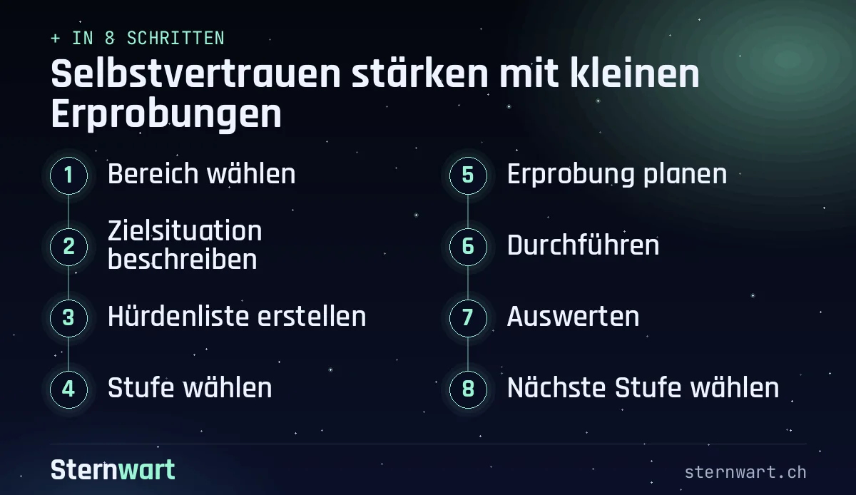 Ablaufgrafik in 8 Schritten: 1. Bereich wählen; 2. Zielsituation beschreiben; 3. Hürdenliste erstellen; 4. Stufe wählen; 5. Erprobung planen; 6. Durchführen; 7. Auswerten; 8. Nächste Stufe wählen.